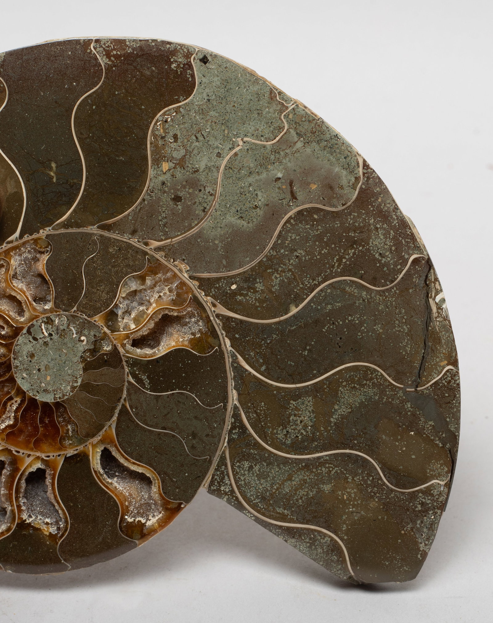 Two Opalized Fossil Sculptures - 8