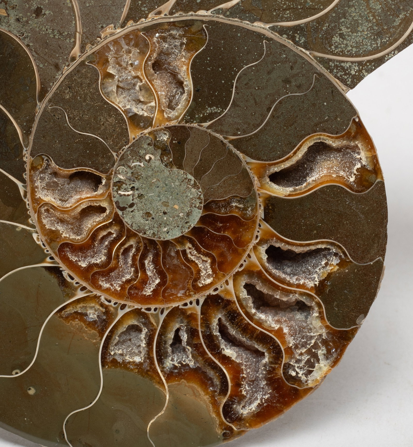 Two Opalized Fossil Sculptures - 9
