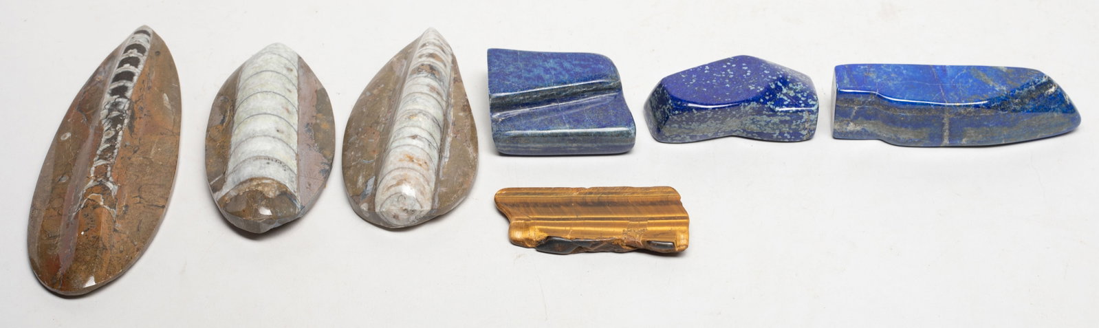 Fossil Slabs, Lapis, Tiger-eye Gemstones (1 of 11)