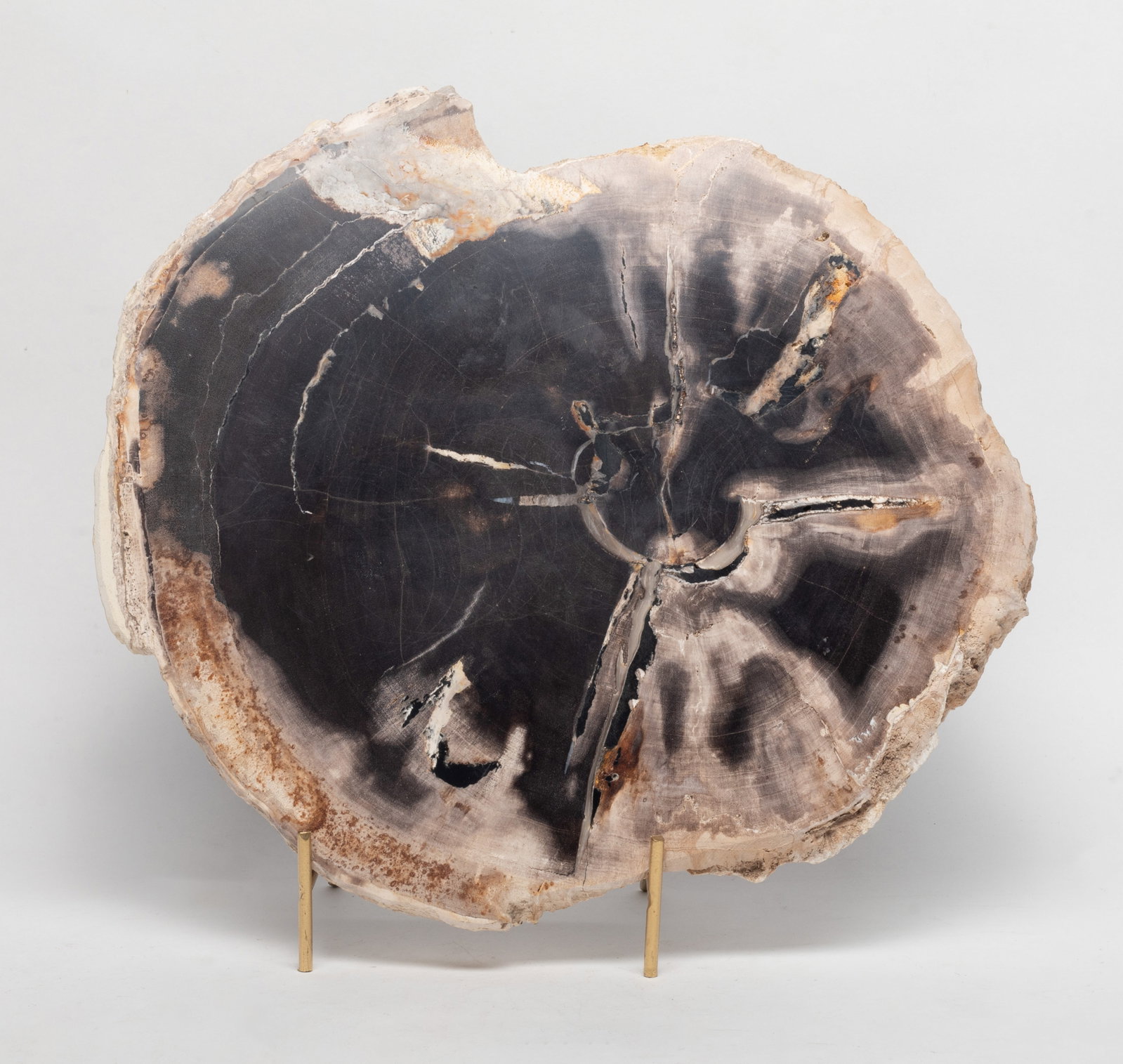 Estate Large Petrified Wood Slab Sculpture: Large petrified wood carved slab sculpture, with stand. Approx. 11.6*10.6 inch (w/o stand).