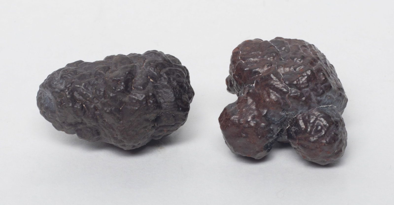 Set Meteorite Stone Collections - 10