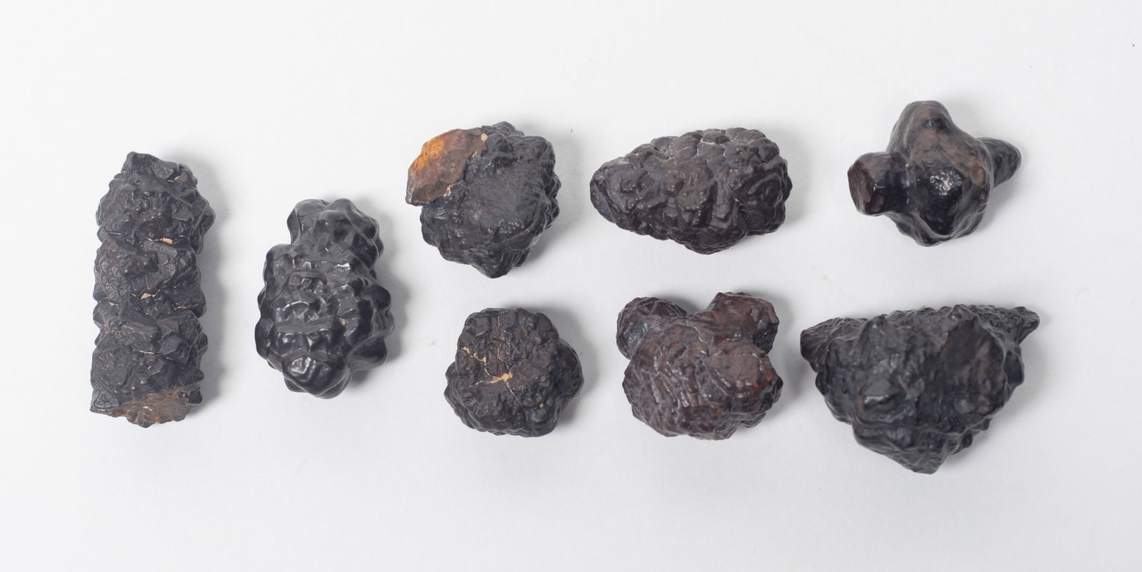 Set Meteorite Stone Collections: Large set of meteorite stone pieces. Size varies.