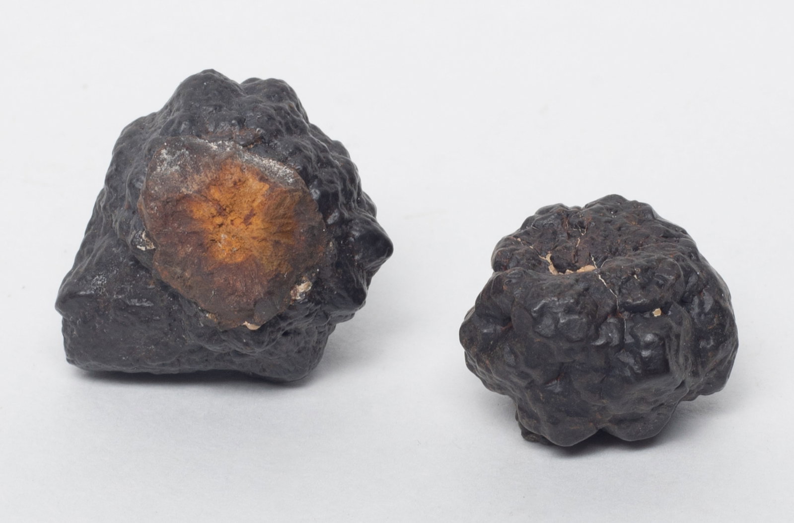 Set Meteorite Stone Collections - 8