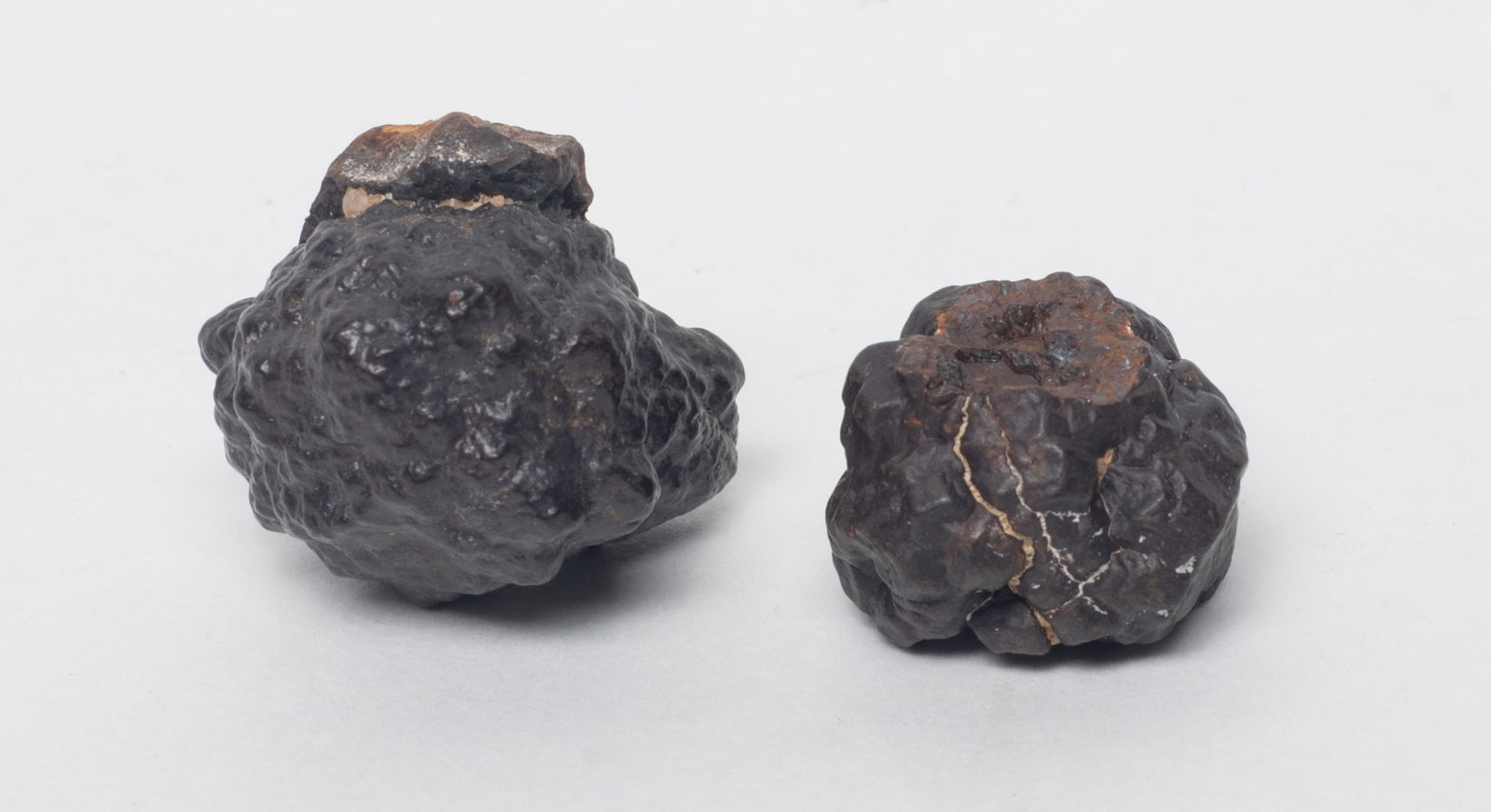 Set Meteorite Stone Collections - 9