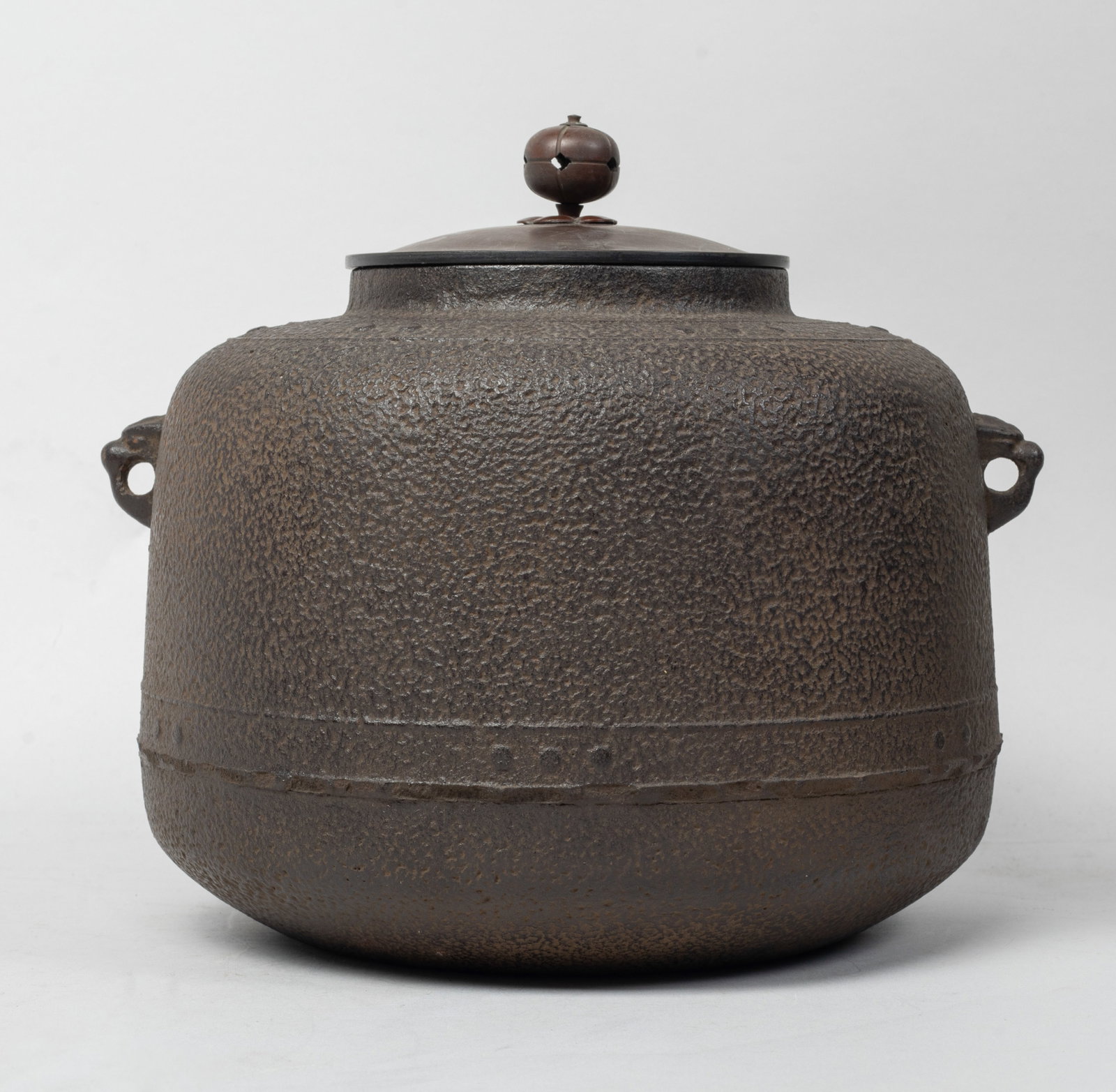 Vintage Japanese Cast Iron Tea Pot (1 of 11)