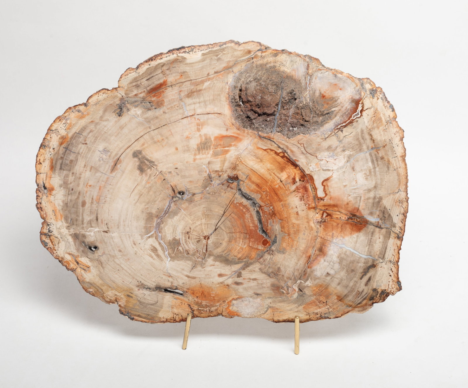 Vtg. Large Petrified Wood Slab Sculpture (1 of 10)