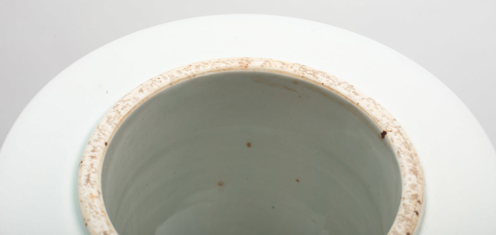 Chinese Export Porcelain Vase - 11