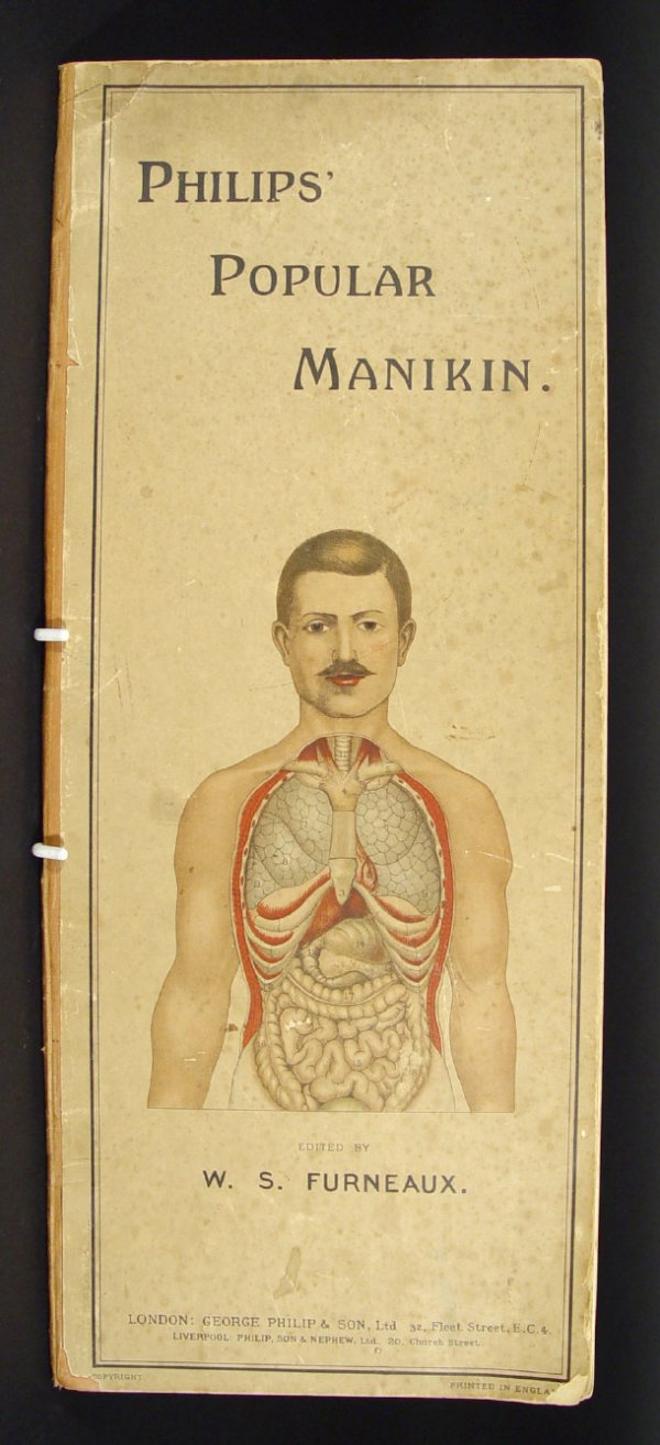 W.S. Furneaux - Philips Popular Manikin or Model o: W.S. Furneaux - Philips Popular Manikin or Model of the Human Body - Medical study of the human body with lift-out organs and diagrams, published by George Philip and Son, London