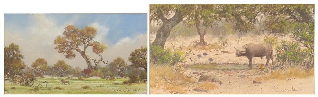 David Johnson - Water buffalo beside water and warthog: David Johnson - Water buffalo beside water and warthog in a landscape, two pastels, mounted and framed, the largest 36cm x 20.5cm