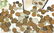 Antique and later British and world coinage and bank - 5