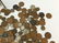 Antique and later British and world coinage and bank - 7