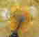 item-108296265=6