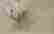item-108297951=2