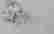 item-108297951=6