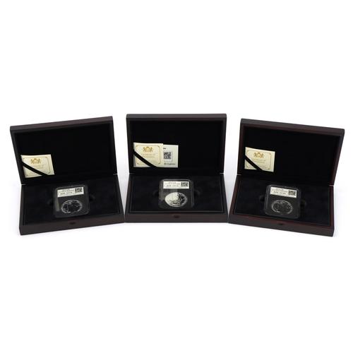 Three 2014 United Kingdom one ounce silver Britannia two pound coins with capsules housed in fitted: Three 2014 United Kingdom one ounce silver Britannia two pound coins with capsules housed in fitted cases