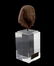 Egyptian Fragment Brown Quartzite head of a Man, - 4