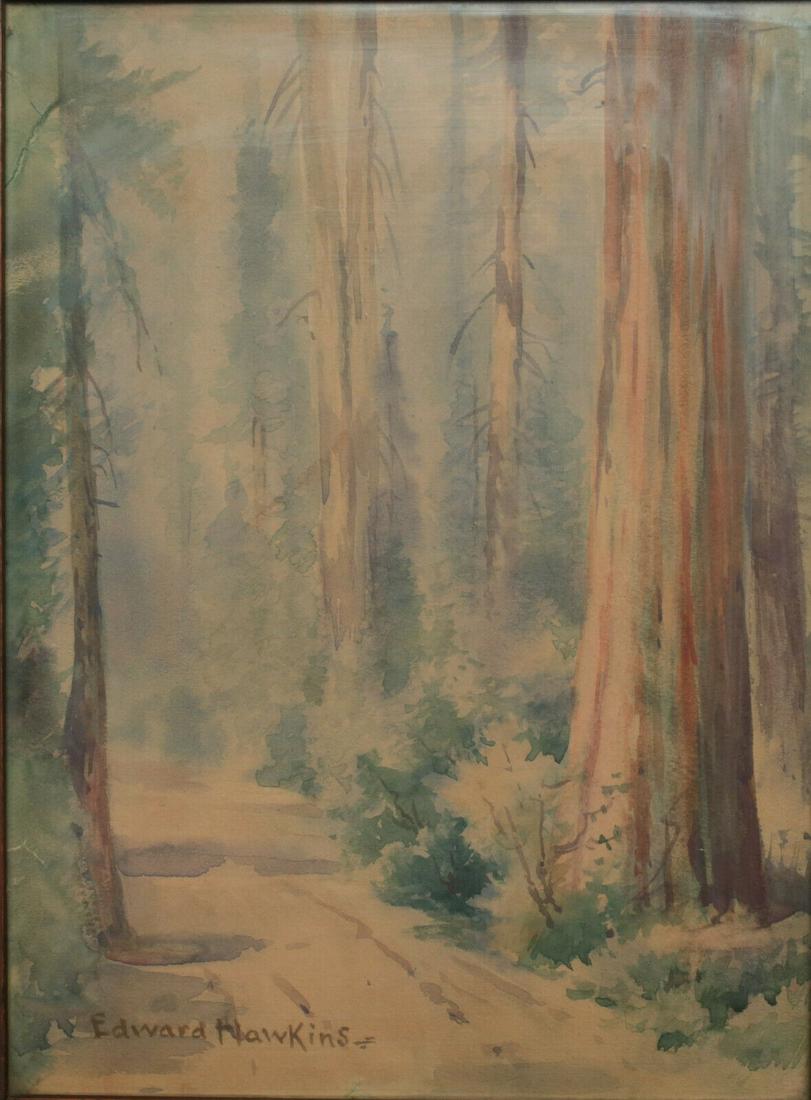 Edward Hawkins signed Watercolor painting of redwood (1 of 4)