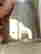 item-129439528=4