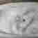 item-130612241=6