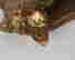 item-130612252=7
