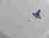 item-130612434=4