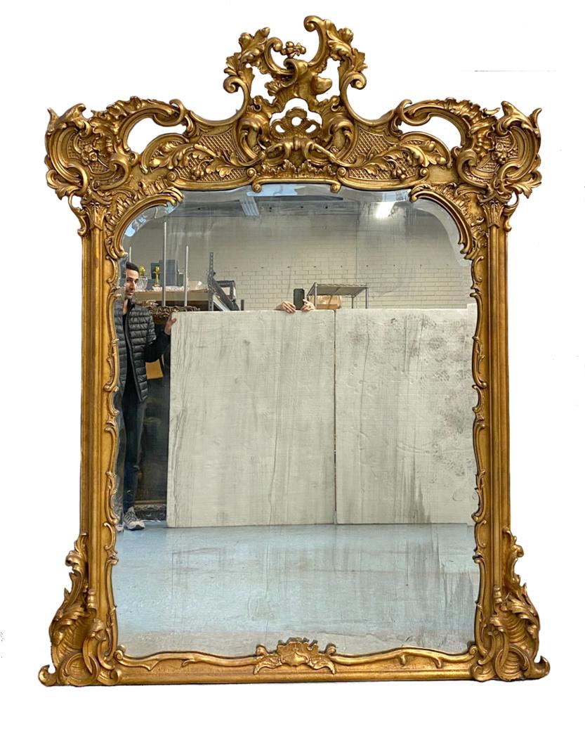 Continental Gilt Carved Floor or Wall Mirror (1 of 13)
