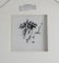 Chagall, Marc, Color Lithograph 'David Saved by - 3