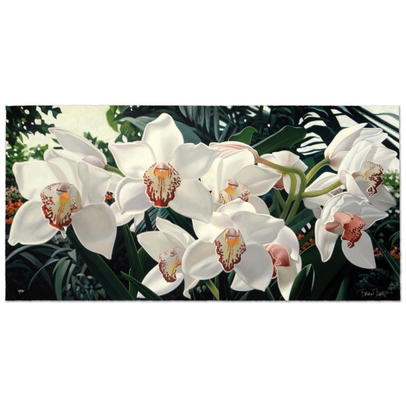 Brian Davis "Cymbidiums In Love" Limited Edition Giclee: "Cymbidiums In Love" is a limited edition giclee on deckle-edge paper by Brian Davis, numbered and hand signed by the artist. Includes Certificate of Authenticity! Measures approx. 43" x 21.5" (image)