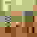 item-101334491=2