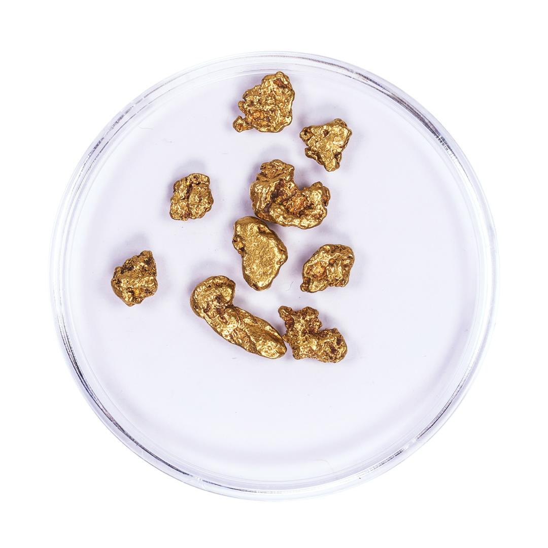 Lot of Gold Nuggets 3.68 grams Total Weight: One Lot of Gold Nuggets 3.68 grams Total Weight.