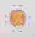 item-121043406=2