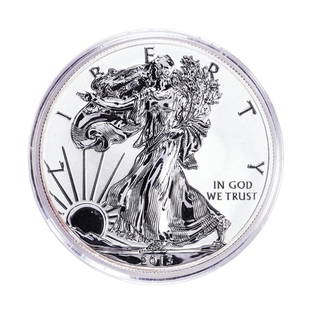 2013-W $1 Reverse Proof American Silver Eagle Coin: One 2013-W $1 Reverse Proof American Silver Eagle Coin.