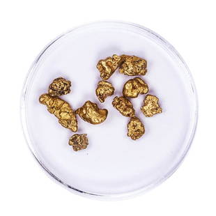 Lot of Gold Nuggets 5.28 grams Total Weight: One Lot of Gold Nuggets 5.28 grams Total Weight.