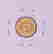 item-129032211=2