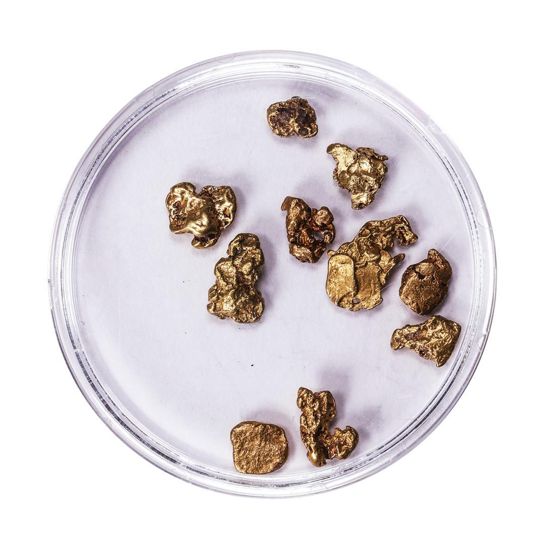 Lot of Gold Nuggets 3.96 Grams Total Weight: One Lot of Gold Nuggets 3.96 Grams Total Weight.