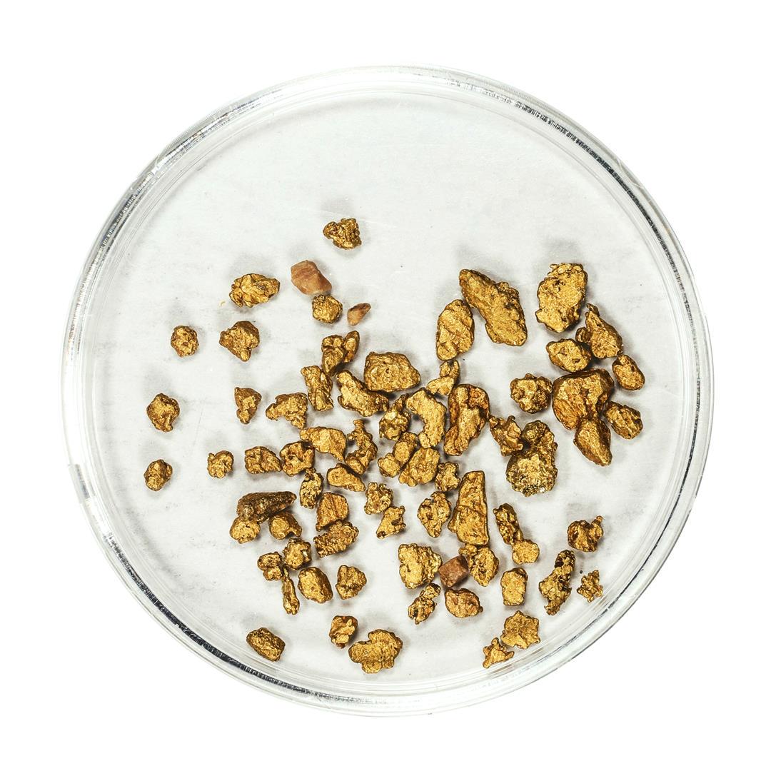 Lot of Gold Nuggets 3.13 Grams Total Weight: One Lot of Gold Nuggets 3.13 Grams Total Weight.