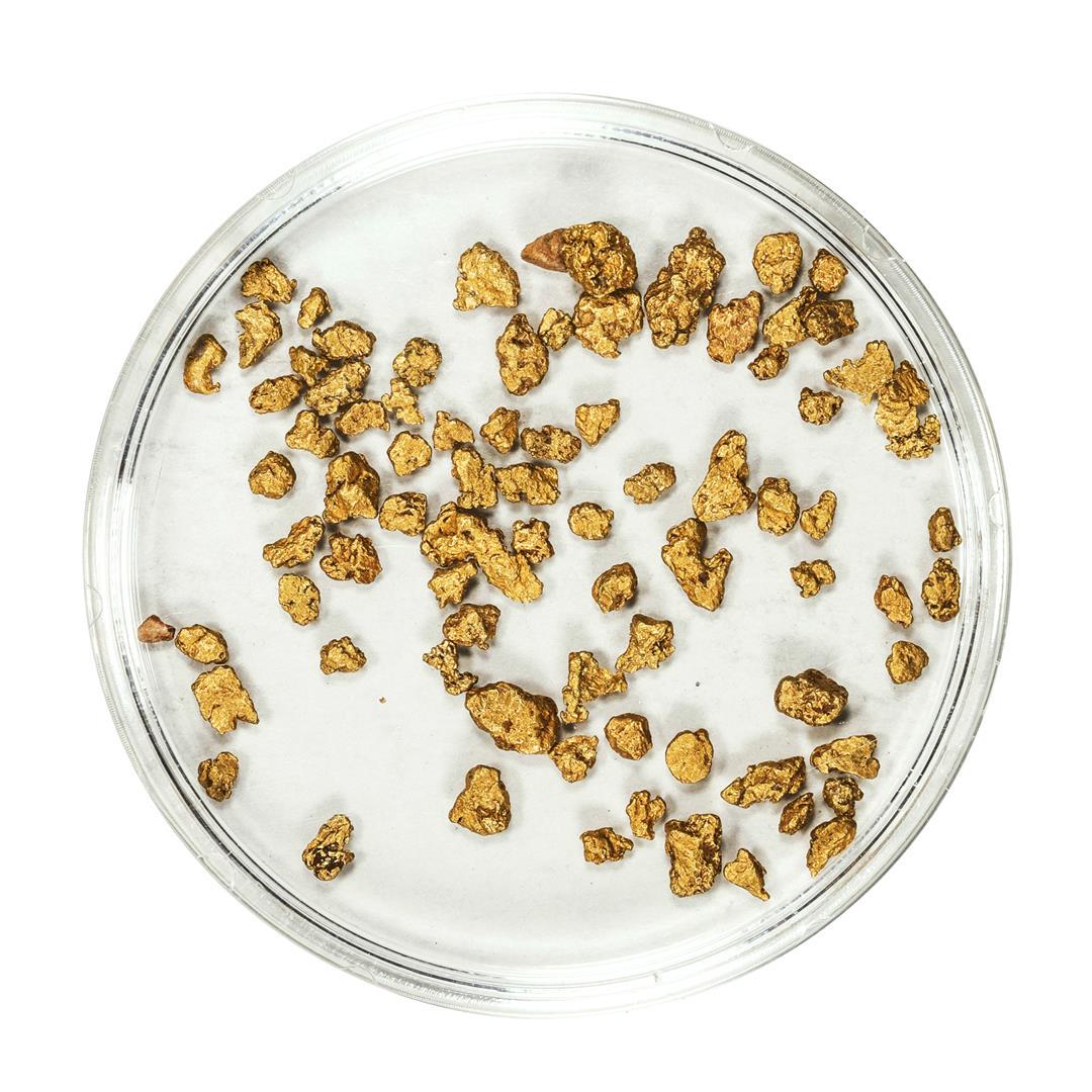 Lot of Gold Nuggets 3.03 Grams Total Weight: One Lot of Gold Nuggets 3.03 Grams Total Weight.