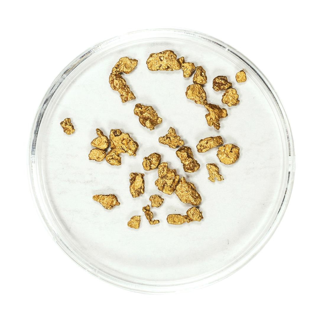 Lot of Gold Nuggets 2.33 Grams Total Weight: One Lot of Gold Nuggets 2.33 Grams Total Weight.