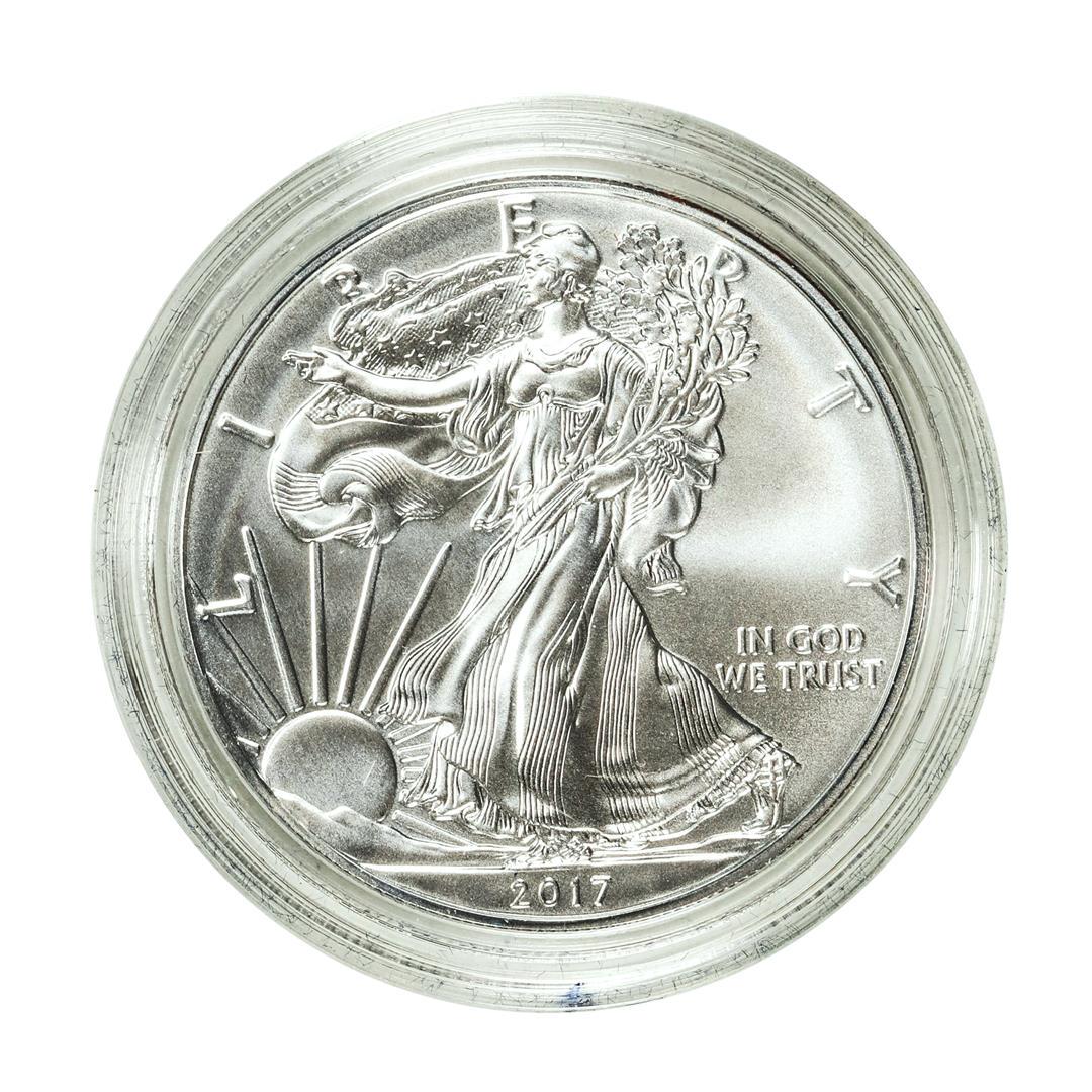 2017-W $1 Burnished American Silver Eagle Coin: One 2017-W $1 Burnished American Silver Eagle Coin.