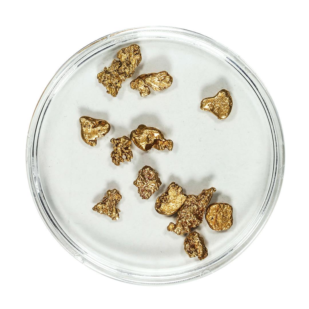Gold Nuggets 3.43 Grams Total Weight: One Gold Nuggets 3.43 Grams Total Weight.