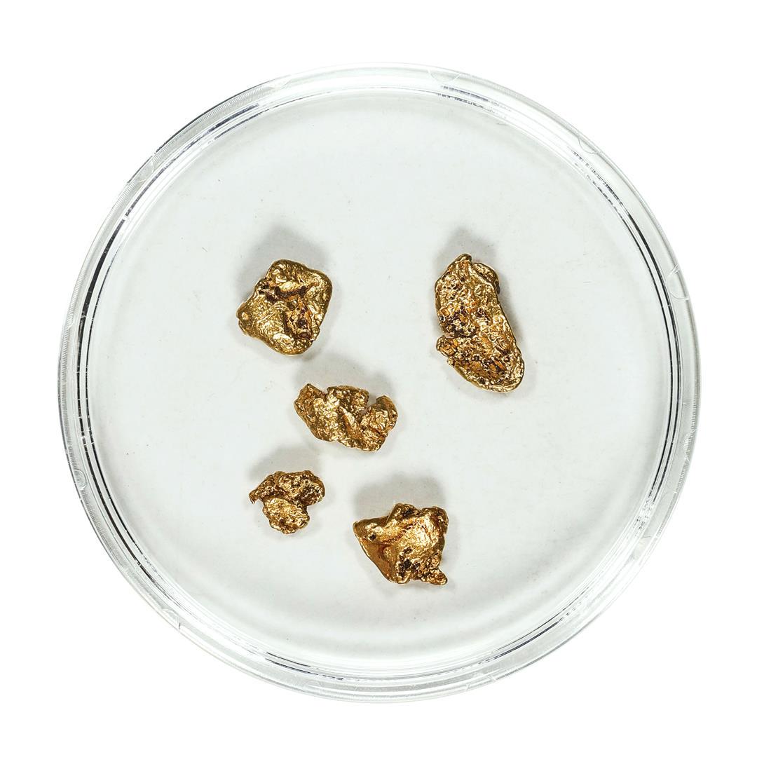 Gold Nuggets 2.19 Grams Total Weight: One Gold Nuggets 2.19 Grams Total Weight.