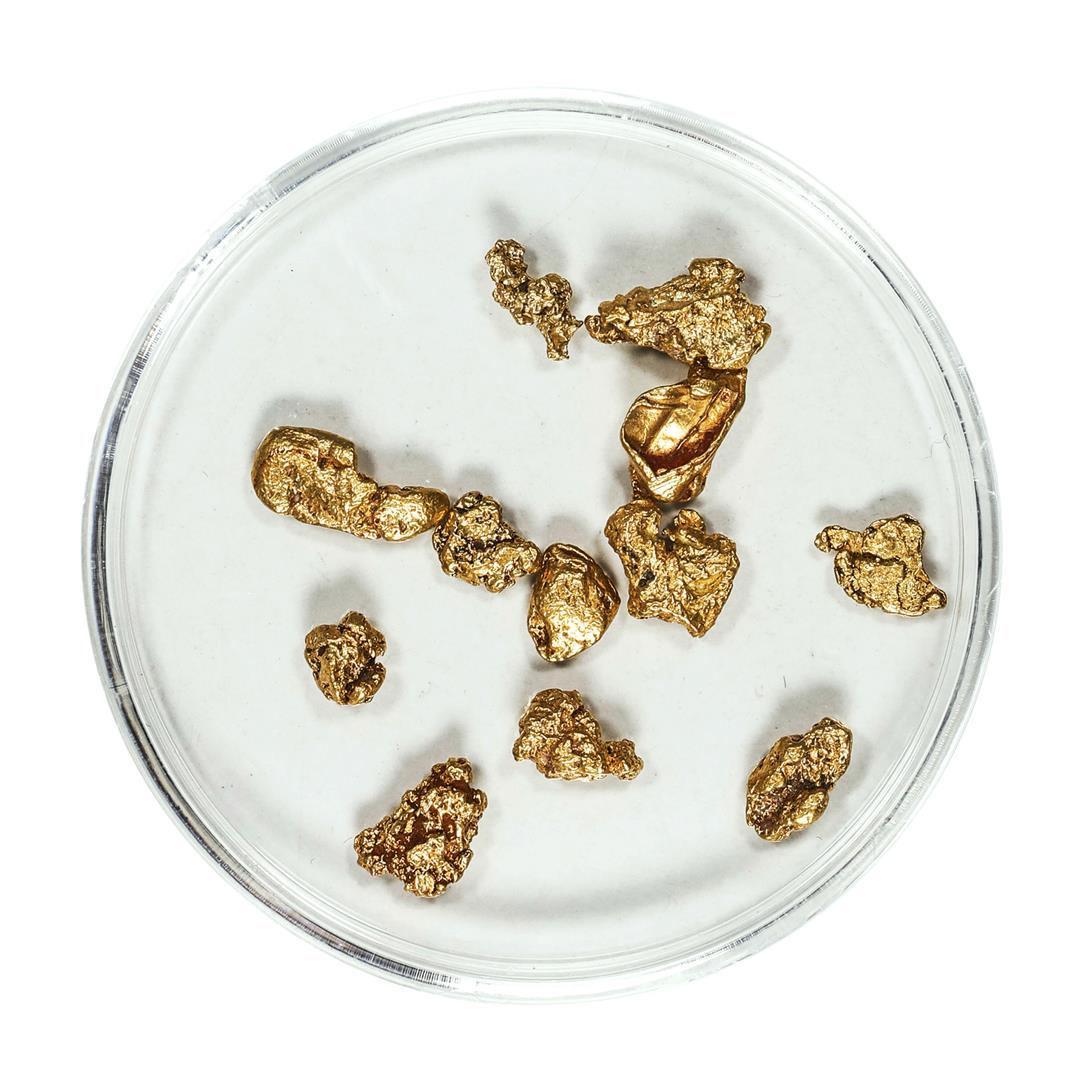 Gold Nuggets 3.60 Grams Total Weight: One Gold Nuggets 3.60 Grams Total Weight.