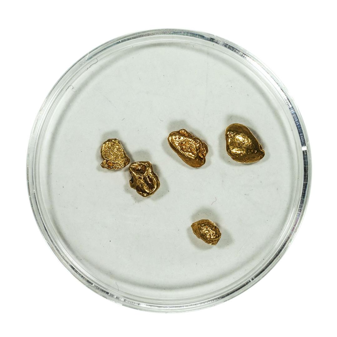 Lot of Gold Nuggets 2.21 Grams Total Weight: One Lot of Gold Nuggets 2.21 Grams Total Weight.