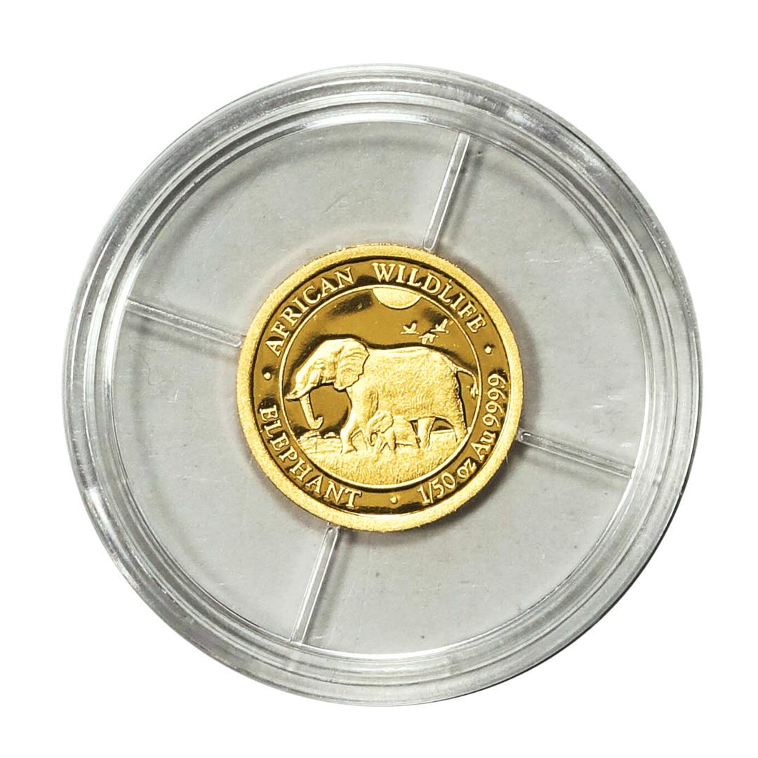 2022 Somalia Republic African Wildlife Elephant 20 Shillings 1/50 oz Gold Coin: One 2022 Somalia Republic African Wildlife Elephant 20 Shillings 1/50 oz Gold Coin.