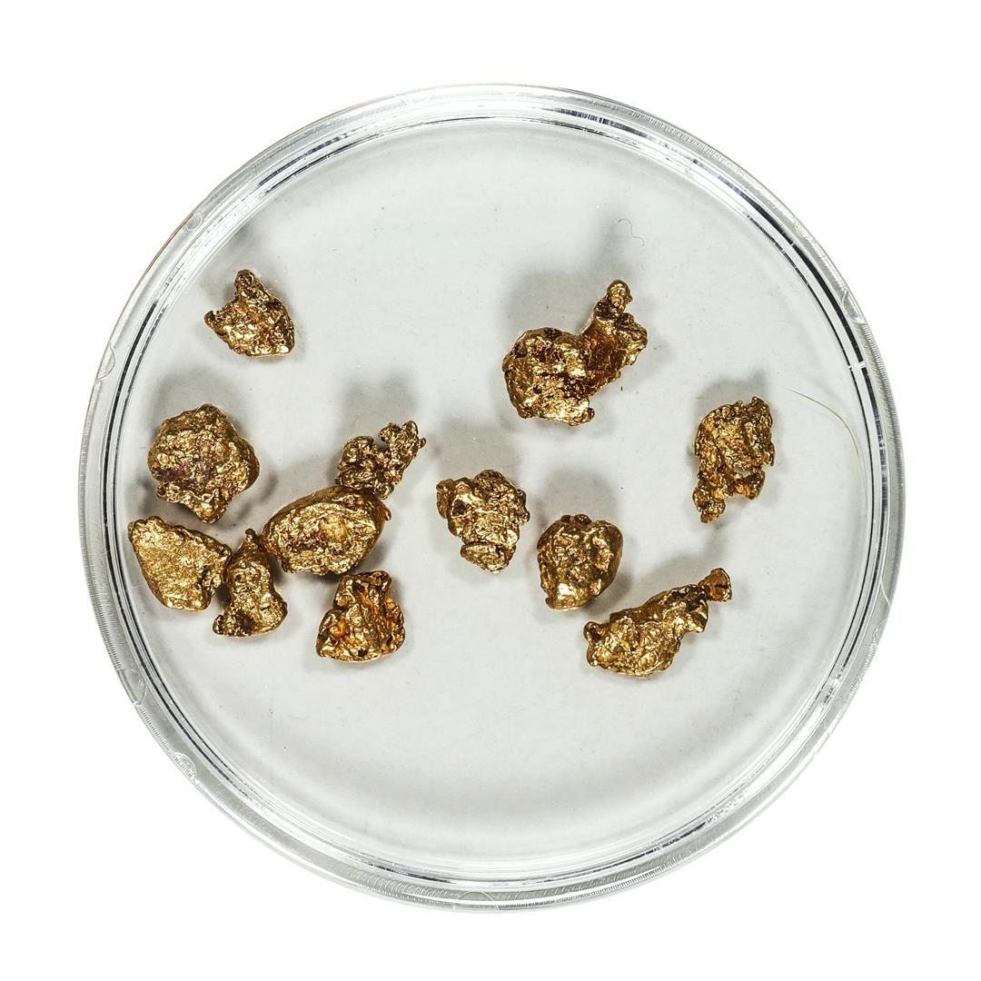 Gold Nuggets 3.85 Grams Total Weight: One Gold Nuggets 3.85 Grams Total Weight.