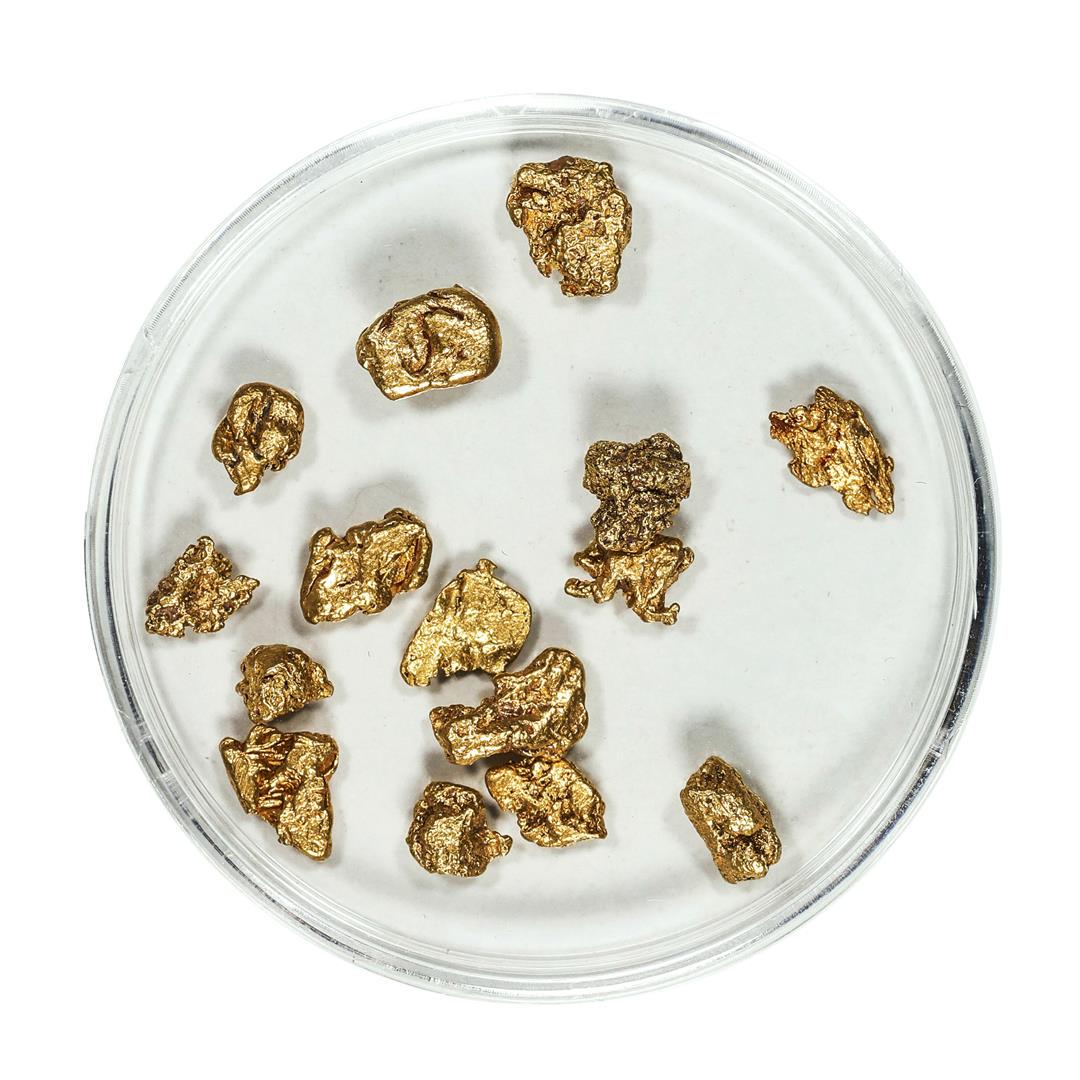 Gold Nuggets 4.62 Grams Total Weight: One Gold Nuggets 4.62 Grams Total Weight.