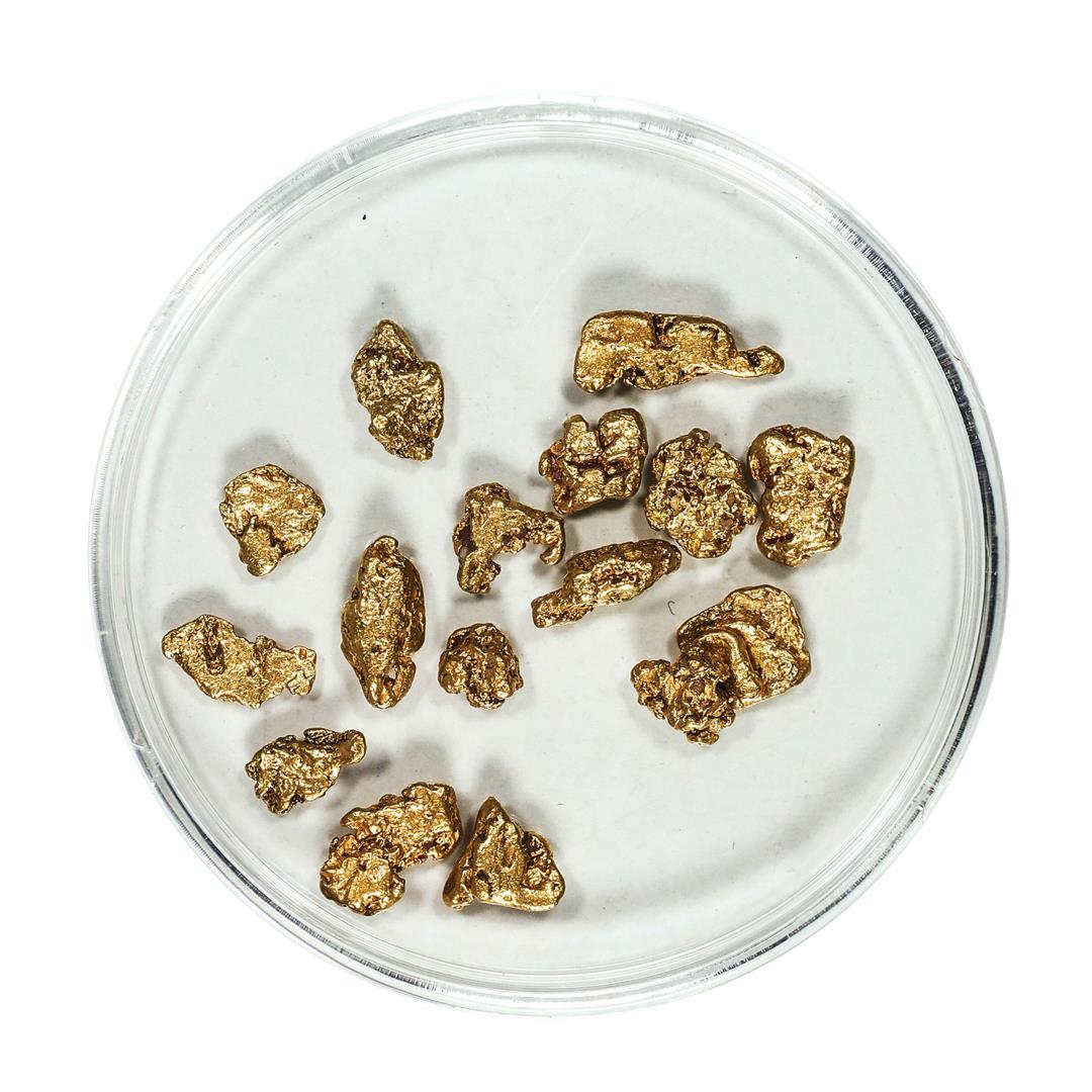 Gold Nuggets 4.47 Grams Total Weight: One Gold Nuggets 4.47 Grams Total Weight.
