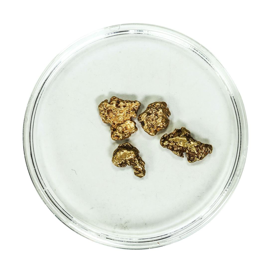 Lot of Gold Nuggets 2.27 grams Total Weight: One Lot of Gold Nuggets 2.27 grams Total Weight.