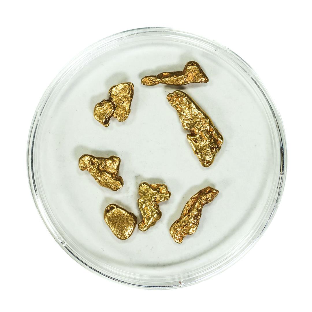 Lot of Gold Nuggets 4.34 grams Total Weight: One Lot of Gold Nuggets 4.34 grams Total Weight.