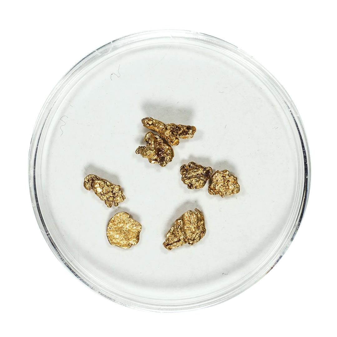 Gold Nuggets 1.51 Grams Total Weight: One Gold Nuggets 1.51 Grams Total Weight.